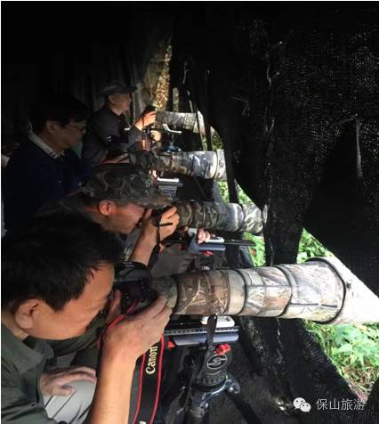 香草咖啡味道怎么样_香草咖啡的口感_云香草咖啡馆