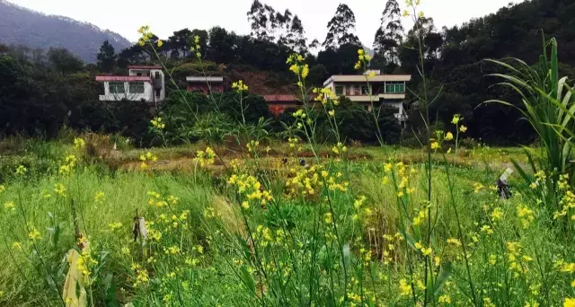 岩池西式料理_岩前西街_岩前西餐厅