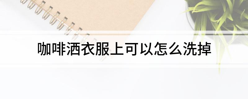 撒咖啡粉的是什么东西啊_撒咖啡是什么意思_咖啡撒了