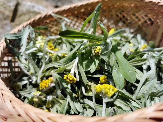 潮汕小吃油粿_潮汕油粿美食历史_潮汕油粿的由来